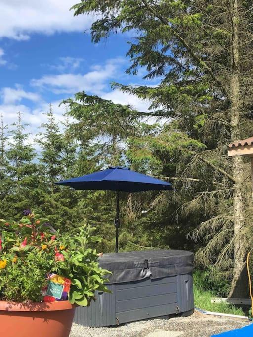 Bankhead Accommodation With Hot Tub Aberdeenshire Gamrie المظهر الخارجي الصورة